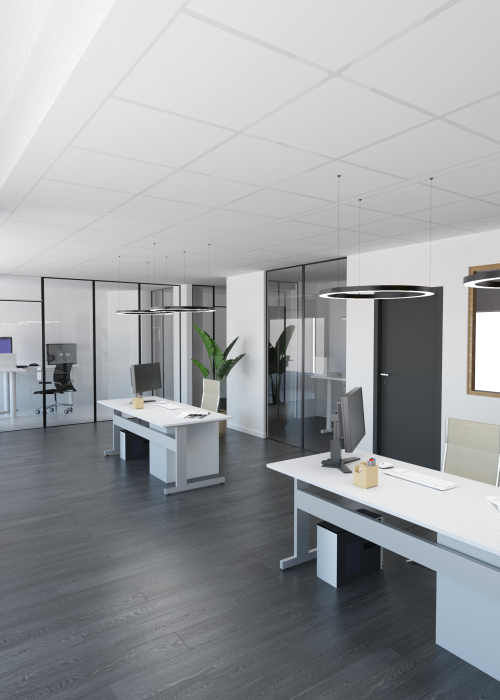 ACTUA - Vue 3D - Accueil 2