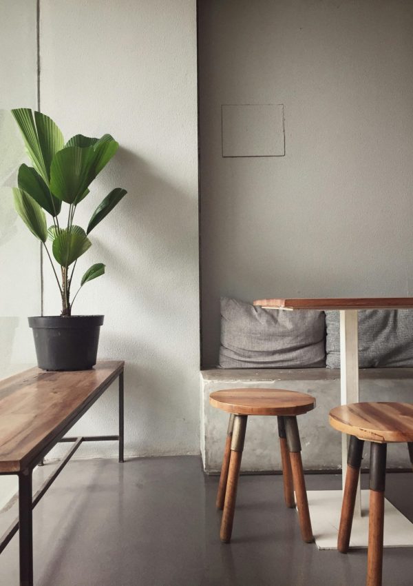 pexels-kathekth-3049121